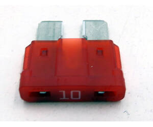 295_EL0197.jpg